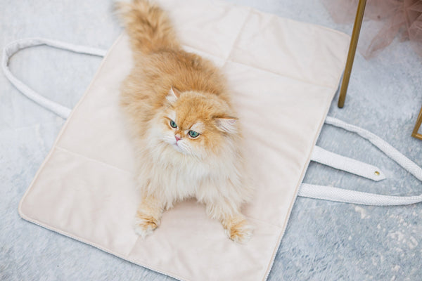 Oh Charlie Dog Travel Mat Florence-Dog Bed-Oh Charlie- Silver Circle Pets
