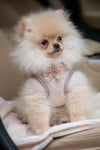 Oh Charlie Pet Blanket Magic-Pet Blanket-Oh Charlie- Silver Circle Pets