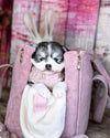 Oh Charlie Pet Carrier Mademoiselle-Pet Carrier-Oh Charlie- Silver Circle Pets