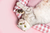 Oh Charlie Striped Pet Bed Janelle-Cat Bed-Oh Charlie- Silver Circle Pets