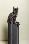 OMNIAGIOIA Pet Food Tall Storage Tower-Pet Bowls, Feeders & Waterers-OMNIAGIOIA- Silver Circle Pets