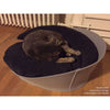 Pet Interiors ARENA Felt Designer Cat Bed-Cat Bed-Pet Interiors- Silver Circle Pets