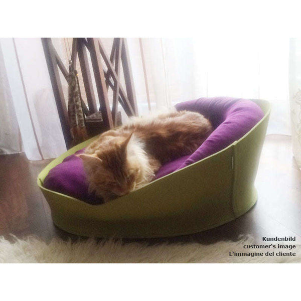 Pet Interiors ARENA Felt Designer Cat Bed-Cat Bed-Pet Interiors- Silver Circle Pets