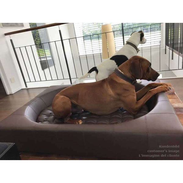 Pet Interiors Cube Faux Leather Dog Bed-Dog Bed-Pet Interiors- Silver Circle Pets