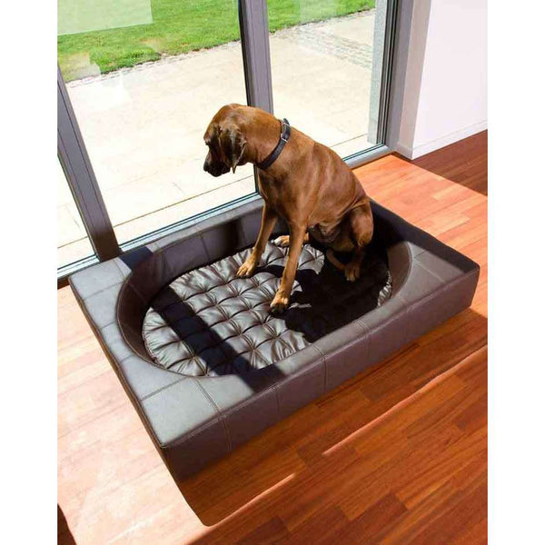 Pet Interiors Cube Faux Leather Dog Bed-Dog Bed-Pet Interiors- Silver Circle Pets