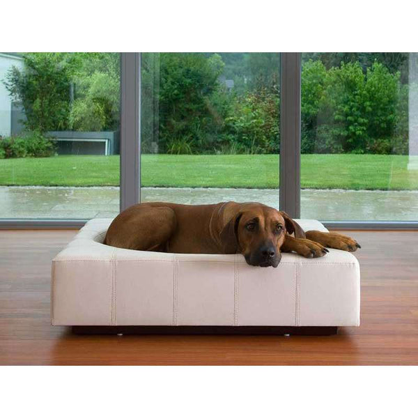 Pet Interiors Cube Genuine Leather Dog Bed-Dog Bed-Pet Interiors- Silver Circle Pets