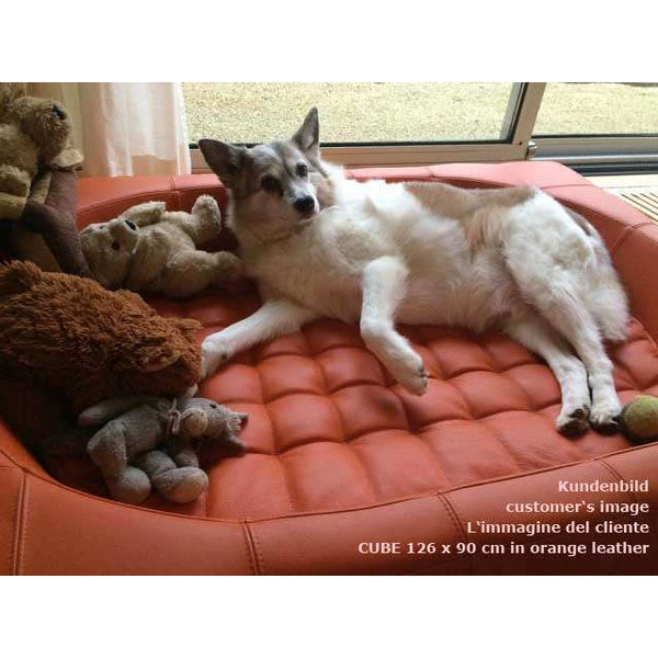 Pet Interiors Cube Genuine Leather Dog Bed-Dog Bed-Pet Interiors- Silver Circle Pets