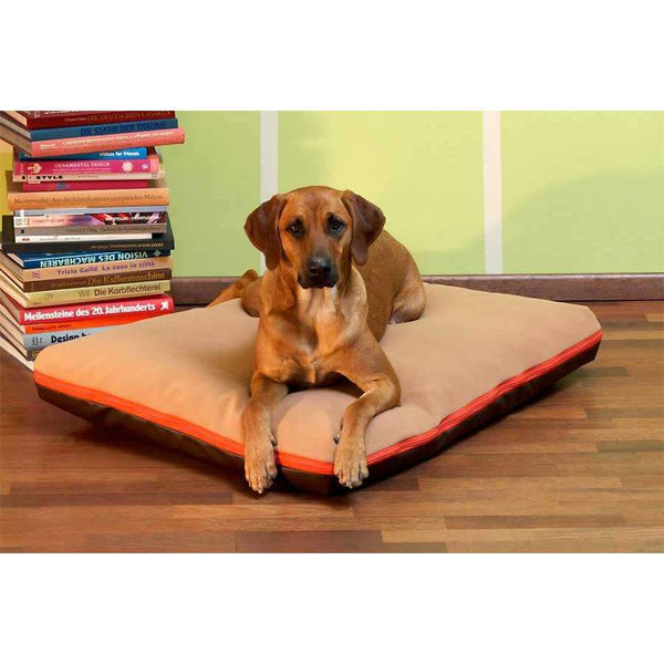 Pet Interiors Dog Cushion with Removable Cover PAULINE-Dog Bed-Pet Interiors- Silver Circle Pets