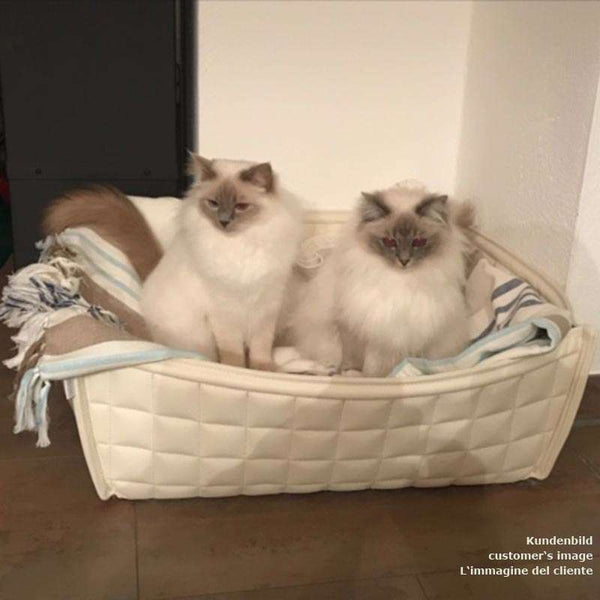 Pet Interiors Leather Cat Basket BOWL-Cat Bed-Pet Interiors- Silver Circle Pets