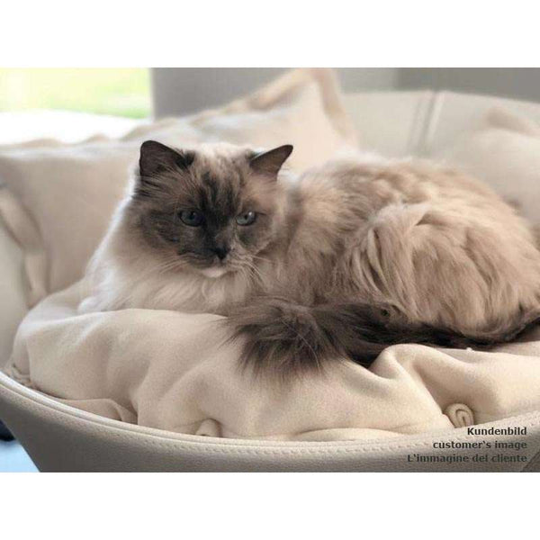 Pet Interiors Leather Pet Bed MILA-Cat Bed-Pet Interiors- Silver Circle Pets