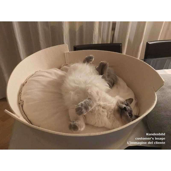 Pet Interiors LIDO Felt Designer Cat Bed-Cat Bed-Pet Interiors- Silver Circle Pets