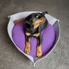 Pet Interiors NOOK Felt Designer Cat Bed-Cat Bed-Pet Interiors- Silver Circle Pets