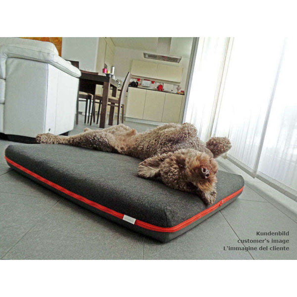 Pet Interiors Orthopedic Dog Mattress & Blanket PAUL-Dog Bed-Pet Interiors- Silver Circle Pets
