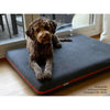 Pet Interiors Orthopedic Dog Mattress & Blanket PAUL-Dog Bed-Pet Interiors- Silver Circle Pets