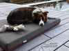 Pet Interiors Orthopedic Dog Mattress MARY-Dog Bed-Pet Interiors- Silver Circle Pets