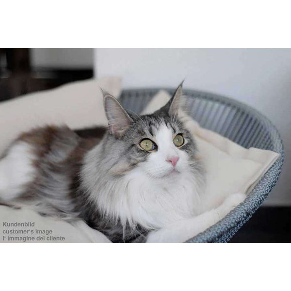 Pet Interiors Unique Cat Basket SIRO Twist-Cat Bed-Pet Interiors- Silver Circle Pets