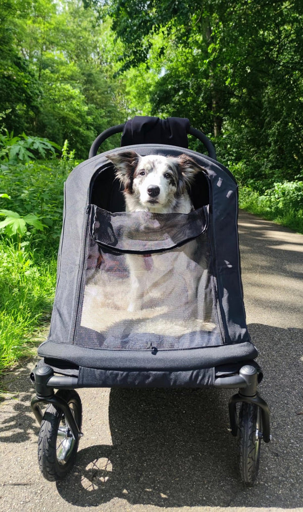 Petique Apollo Elite Pet Stroller & Trailer | Integrated Ramp-Pet Strollers-Petique- Silver Circle Pets