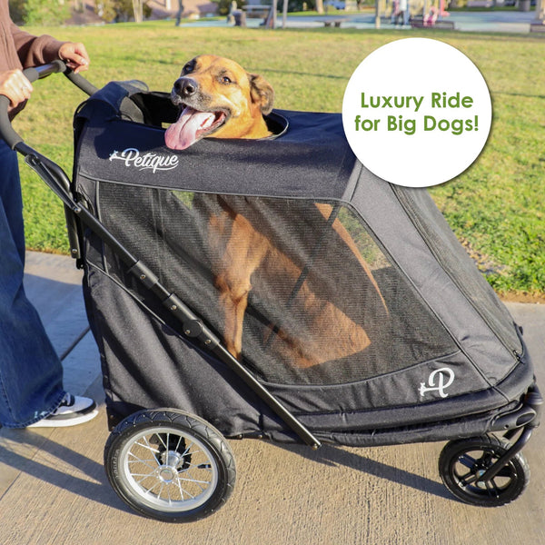 Petique Apollo Elite Pet Stroller & Trailer | Integrated Ramp-Pet Strollers-Petique- Silver Circle Pets