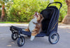 Petique Apollo Elite Pet Stroller & Trailer | Integrated Ramp-Pet Strollers-Petique- Silver Circle Pets