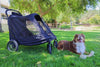 Petique Apollo Elite Rain Cover-Rain Cover-Petique- Silver Circle Pets