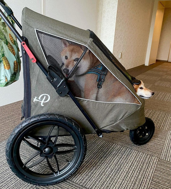 Petique Breeze Pet Jogger Stroller incl. Free Rain Cover & Bike Adapter-Pet Strollers-Petique- Silver Circle Pets