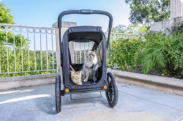 Petique Breeze Pet Jogger Stroller incl. Free Rain Cover & Bike Adapter-Pet Strollers-Petique- Silver Circle Pets