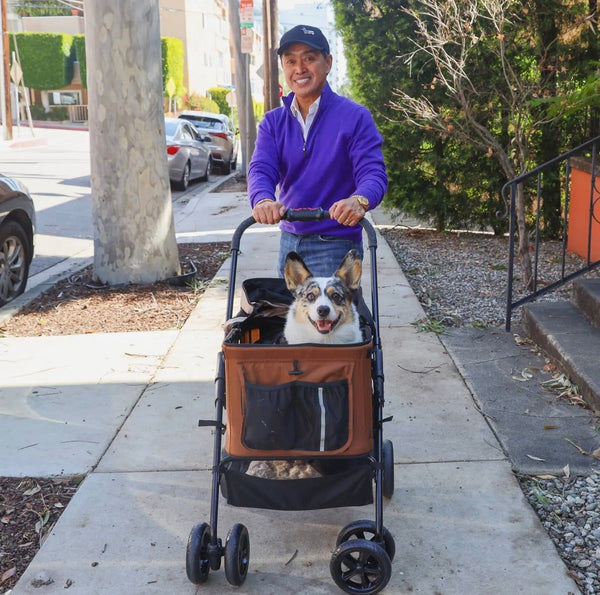 Petique Dynamic 4-in-1 Pet Stroller Travel System-Pet Strollers-Petique- Silver Circle Pets