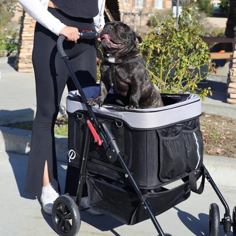 Petique Dynamic 4-in-1 Pet Stroller Travel System-Pet Strollers-Petique- Silver Circle Pets