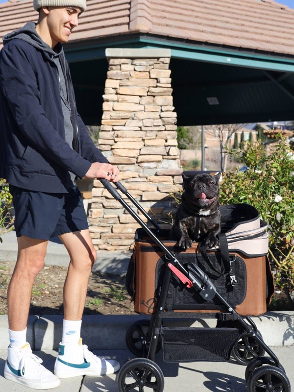 Petique Dynamic 4-in-1 Pet Stroller Travel System-Pet Strollers-Petique- Silver Circle Pets