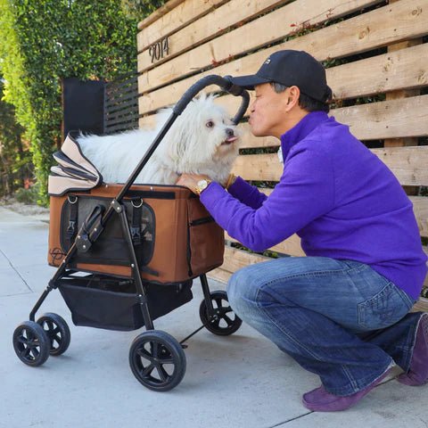 Petique Dynamic 4-in-1 Pet Stroller Travel System-Pet Strollers-Petique- Silver Circle Pets