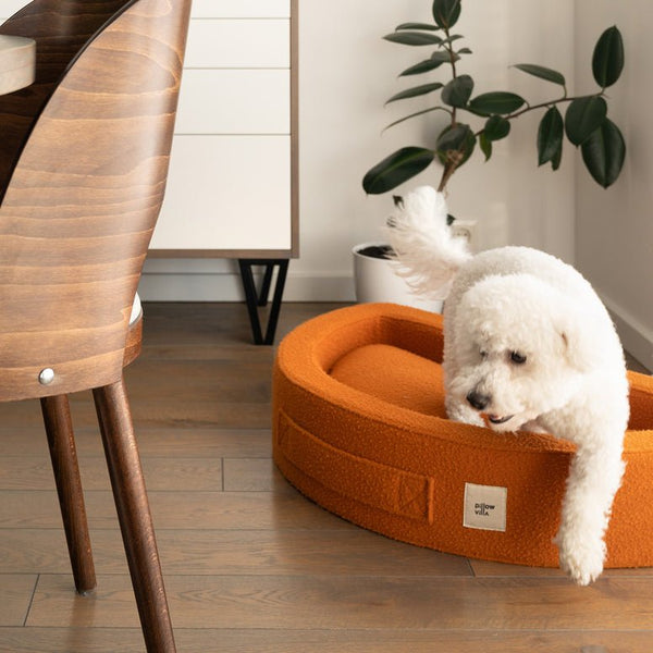 PillowVilla Casentino Wool Dog Bed CUDDLY BEAN-Dog Bed-PillowVilla- Silver Circle Pets