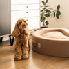 PillowVilla Casentino Wool Dog Bed CUDDLY BEAN-Dog Bed-PillowVilla- Silver Circle Pets