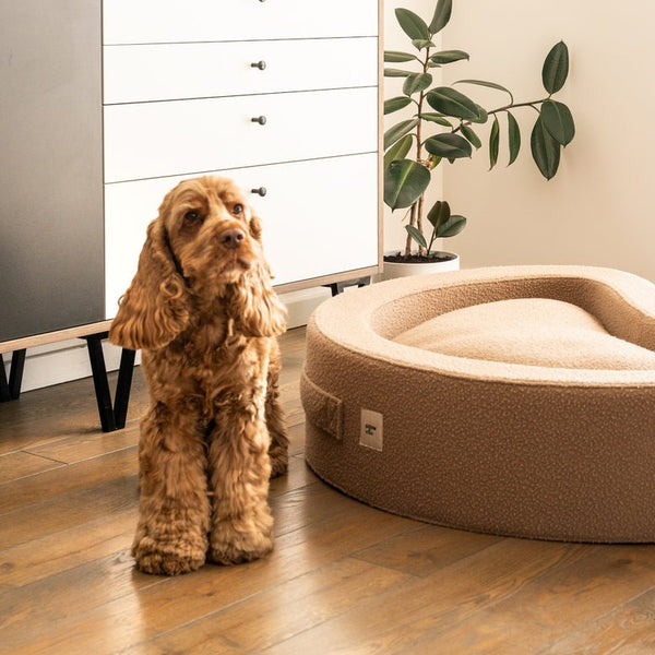 PillowVilla Casentino Wool Dog Bed CUDDLY BEAN-Dog Bed-PillowVilla- Silver Circle Pets