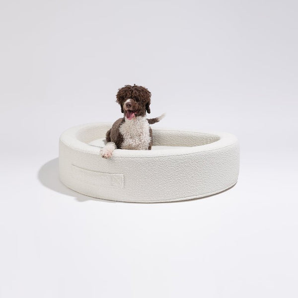 PillowVilla Recycled Olefin Dog Bed CUDDLY BEAN-Dog Bed-PillowVilla- Silver Circle Pets