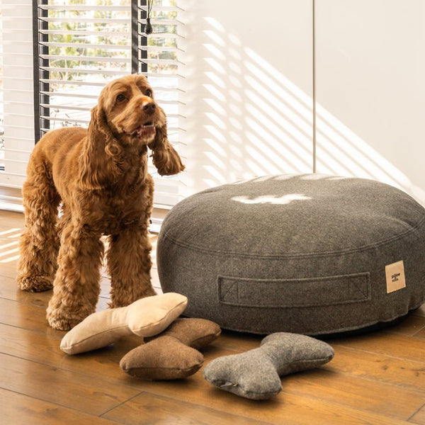 PillowVilla Recycled Wool Luxury Dog Toy JOY-Dog Toy-PillowVilla- Silver Circle Pets