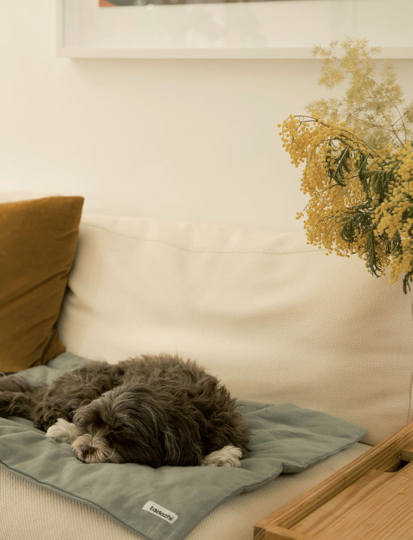 Tadazhi Dog Duvet and Matching Bag-Blanket-Tadazhi- Silver Circle Pets