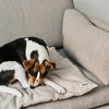 Tadazhi Dog Duvet and Matching Bag-Blanket-Tadazhi- Silver Circle Pets