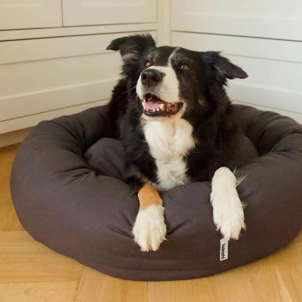 Tadazhi Donut Dog Bed-Dog Bed-tadazhi- Silver Circle Pets