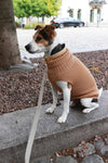 Tadazhi Female Dog Wool Sweater-Dog Jumper-tadazhi- Silver Circle Pets