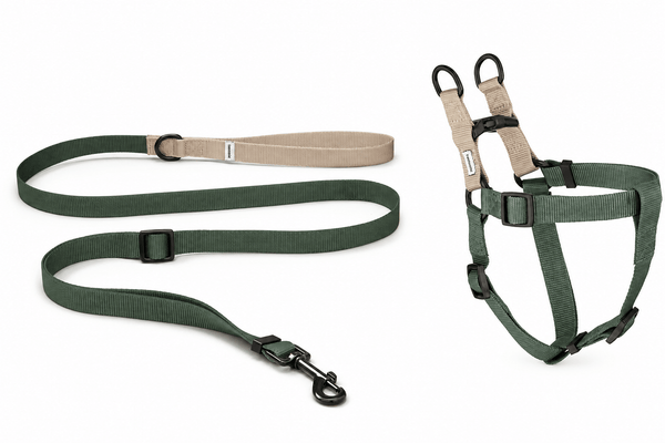 Tadazhi Matching Luna Harness & Leash Set | Recycled Materials-Dog Leash-tadazhi- Silver Circle Pets