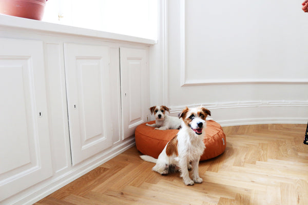 Tadazhi Poespas Dog Bed-Dog Bed-tadazhi- Silver Circle Pets
