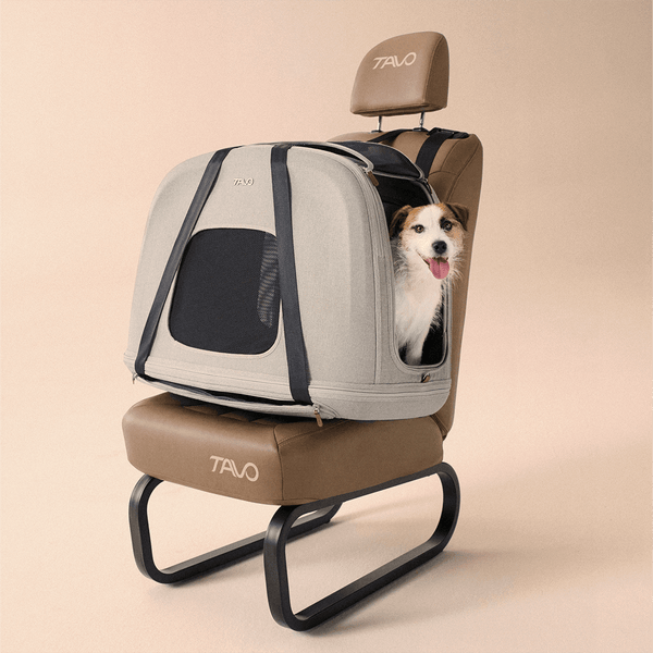 Tavo Pets Crispin Pet Travel Crate | Impact Tested | 3 Sizes-Travel Crate-Tavo Pets- Silver Circle Pets