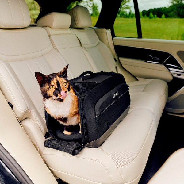 Tavo Pets Dupree II ISOFIX Pet Car Seat & Pet Carrier | Airline Carry-On-Pet Carrier-Tavo Pets- Silver Circle Pets