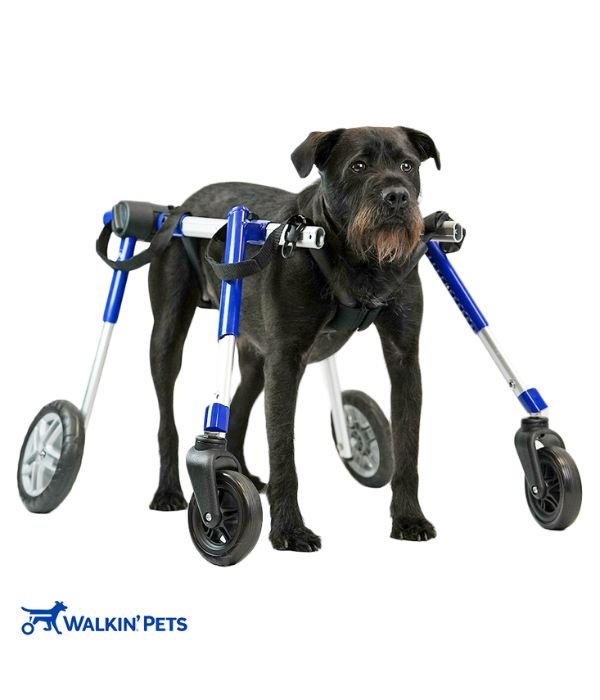Walkin’ Wheels Full Support/4-Wheel MEDIUM (11 to 30 kg)-Dog Wheel Chair-Walkin Wheels- Silver Circle Pets