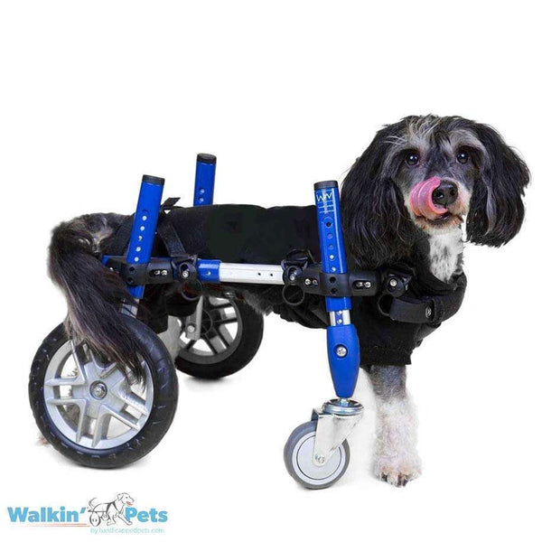 Walkin Wheels® Full Support/4-Wheel SMALL Dog Wheelchair (3.5 - 11kg)-Dog Wheel Chair-Walkin Wheels- Silver Circle Pets