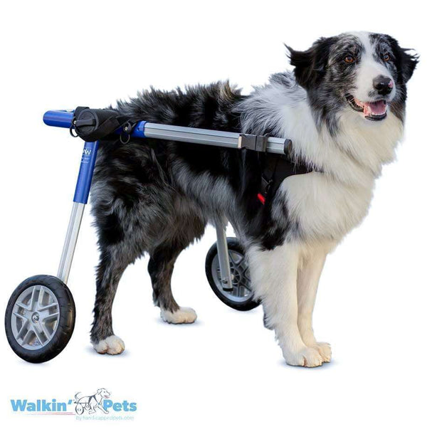 Walkin Wheels® MEDIUM Rear Dog Wheelchair (11 to 30kg)-Dog Wheel Chair-Walkin Wheels- Silver Circle Pets