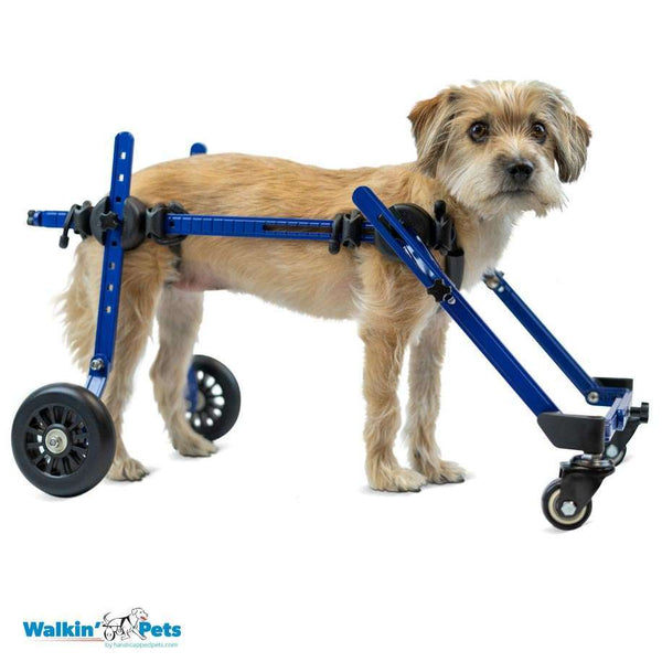 Walkin Wheels® MINI Front Wheel Attachment-Dog Wheelchairs-Walkin Wheels- Silver Circle Pets