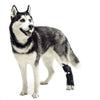 Walkin Wheels® - Rear No-Knuckling Training Sock-Dog Boots-Walkin Wheels- Silver Circle Pets