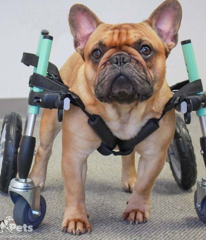 Walkin Wheels® SMALL Front Wheels Attachment-Dog Wheelchairs-Walkin Wheels- Silver Circle Pets