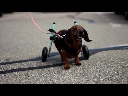Walkin Wheels® SMALL Rear Dog Wheelchair (3.5 - 11kg)-Dog Wheelchairs-Walkin Wheels- Silver Circle Pets